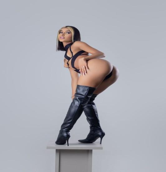 transex RJ Pietra Ninfeta 8025801