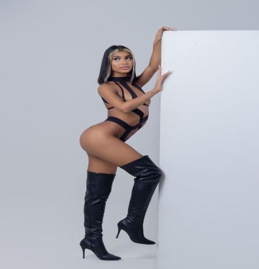 transex RJ Pietra Ninfeta 8025806